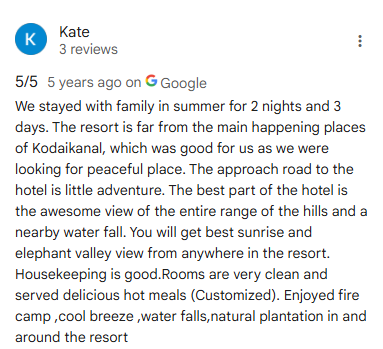 Google Review
